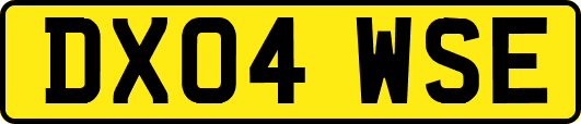 DX04WSE