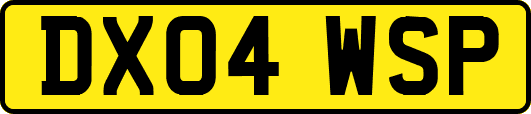 DX04WSP