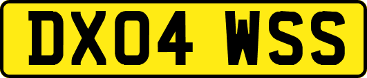 DX04WSS