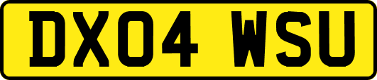 DX04WSU