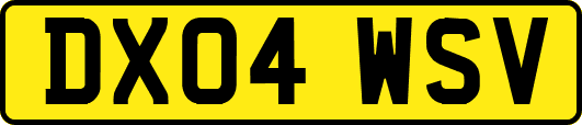 DX04WSV