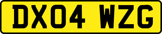 DX04WZG