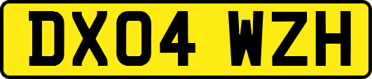 DX04WZH