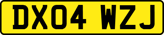 DX04WZJ