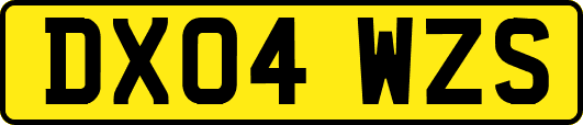 DX04WZS