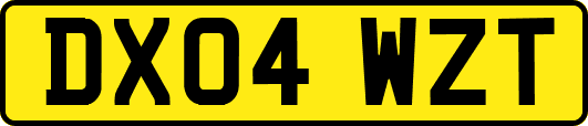 DX04WZT