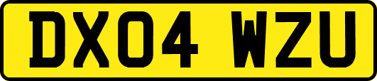 DX04WZU