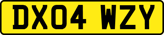DX04WZY