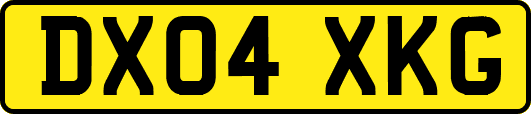 DX04XKG