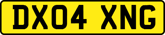 DX04XNG