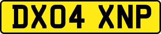 DX04XNP