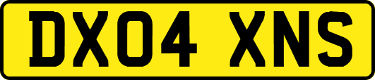 DX04XNS