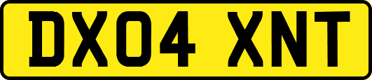 DX04XNT