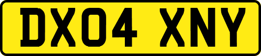DX04XNY