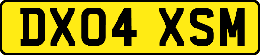 DX04XSM