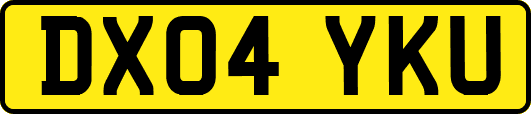 DX04YKU