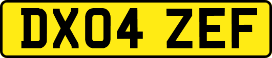 DX04ZEF