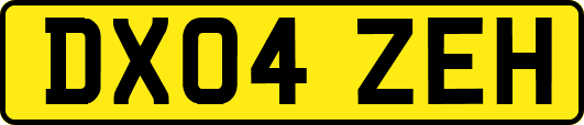 DX04ZEH