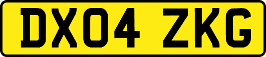 DX04ZKG