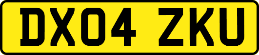 DX04ZKU