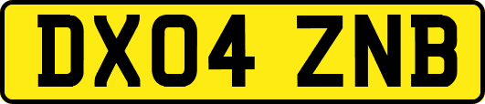 DX04ZNB