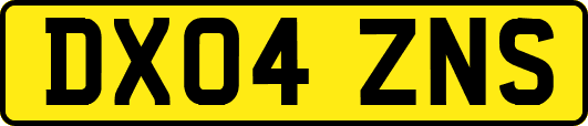 DX04ZNS