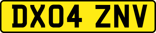 DX04ZNV