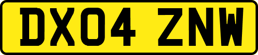 DX04ZNW