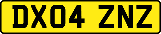 DX04ZNZ