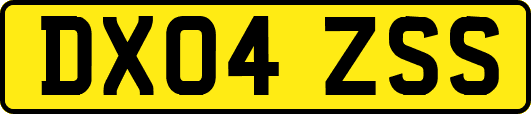 DX04ZSS