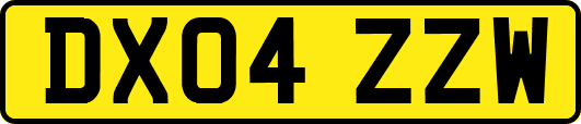 DX04ZZW
