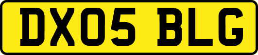 DX05BLG