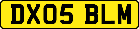 DX05BLM