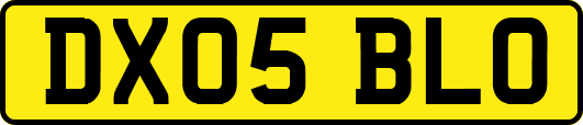 DX05BLO
