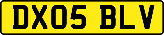 DX05BLV