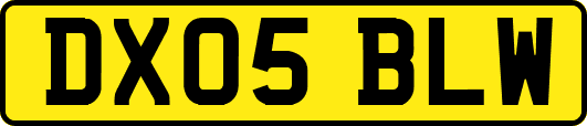 DX05BLW