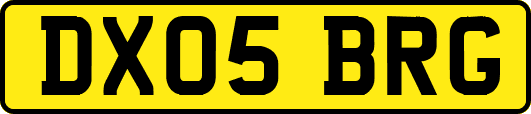 DX05BRG