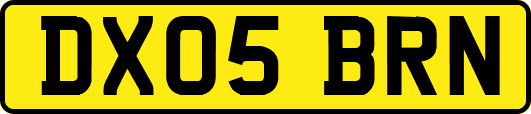 DX05BRN