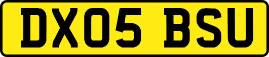 DX05BSU