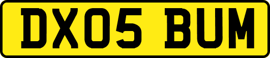 DX05BUM