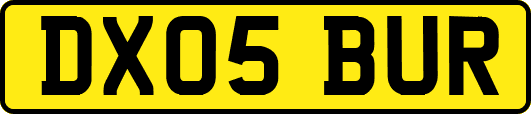 DX05BUR