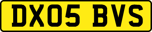 DX05BVS