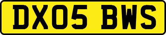 DX05BWS