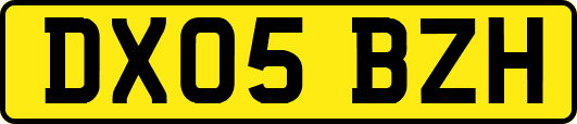 DX05BZH