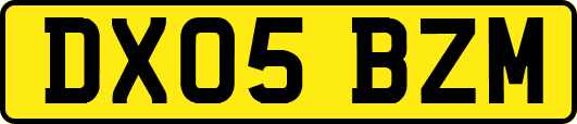 DX05BZM