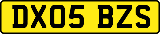 DX05BZS