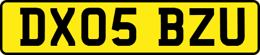 DX05BZU