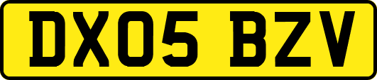 DX05BZV