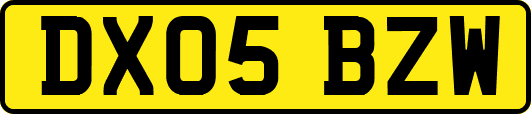 DX05BZW