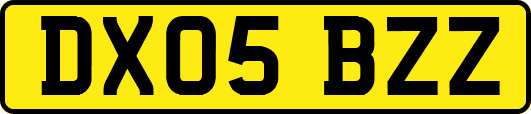 DX05BZZ